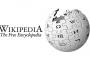 【画像あり】「手ブラ」のWikipedia画像がやばいｗｗｗｗｗｗｗ