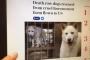 ”韓国の犬拷問文化”に欧米人団体が『本気で怒り狂う』国際的な大問題に。極悪非道な手法が全世界に暴露される