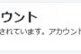 しばき隊員「ヘイトスピーチやめなさい。ぶっ●すぞゴミ」 →  アカウント凍結