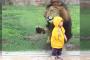 海外「日本の動物園でライオンが・・・ｗｗｗｗｗｗｗ」