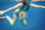 魚「ヤベッ！やっちまった！」 クラゲの中にハマってしまった魚が発見されるｗｗｗｗｗｗｗ