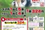 【AKB48総選挙】選挙対策委員ってあれ意味あるの？