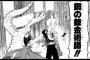 「鋼の錬金術師」とかいうストーリー・キャラ・伏線全てが完璧な漫画ｗｗｗｗｗ（画像あり）