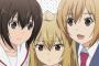 アニメで主人公が３人兄妹以上のヤツあるの？