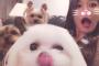 嫁が愛犬を捨ててしまったと言うんでつい殴ってしまった。暗くなるまで探し回ったんだが見つからない。【5/6】