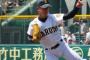 鳴門高校の河野のピッチングｗｗｗｗｗｗｗｗ
