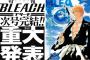 【BLEACH ブリーチ】685話感想　10年後のルキア隊長可愛い！次号最終回で重大発表！