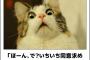 【元AKB48G】卒業してすぐ彼氏作るメンバーってヲタに対して失礼じゃないか？