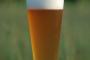 酒初心者ぼく、ビールが美味しくない