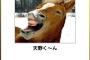 画像で笑ったら寝ろ