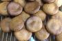 【悲報】シュークリームを作っていたはずがなぜかしいたけを量産