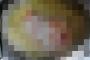【閲覧注意】ま○こはこの画像が許せないらしいｗｗｗｗｗｗｗｗｗ