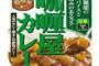 ジャガイモとタマネギのないカレーはクソ