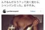 Ｔｗｉｔｔｅｒ民、シャンパンと魚を間違える