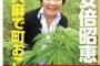 安倍昭恵夫人「何で大麻をここまで取り締まるのか分からない！トリカブトだってそこら辺に生えてるのに」