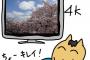 4Kテレビなんか買ってもコンテンツがないから無駄とか言うやついるけど