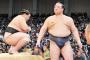 稀勢の里とかいう技体完璧の最強力士