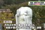 福島の墓地でお地蔵さま約20体が壊される