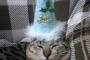 猫『メリー……クリ…スマ…チッ…』