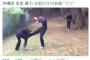 【動画】沖縄県・美里中でいじめか　一方的に殴る蹴るの暴行を加える動画流出