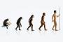 【朗報】「優れた知能を持った動物」ランキング発表してくでｗｗｗｗ