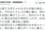 民進党・クイズ小西「うどん屋で天ぷらを床に落とす。レジの定員に当然のようにこちらの負担にされ脱力」