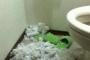 【画像】猫を間違えてトイレに閉じ込めてしまった結果…