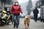 【画像】花粉の季節は、犬もマスクをするんです…？