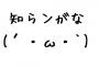 目が会った…と思った次の瞬間、ダッシュしてきてジャンプして俺の足を思い切り踏んづけたお客様…