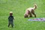 子供が犬に噛まれて亡くなったニュースが出たのに、姑が犬をケージに入れない。噛まれるかもしれないと思うと怖くて仕方ない