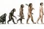 【疑問】なぜ猿と人間の間の生物がどこにもいないのか