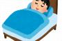 ワイ「zzz」謎の虫「おは！ｗ」耳元ブーン
