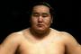 メイウェザー10体 ＶＳ 朝青龍&白鵬&千代の富士
