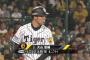 大山悠輔内野手 打率.250 出塁率.348