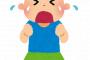 【悲劇】10代「心が叫びたがっているんだ」 30代…かなC