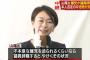 【速報】ガソリーヌ山尾「私は絶対に不倫なんてしてないのに執行部が信じてくれない！議員辞職してやる！！」