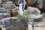【悲報】『けものフレンズ』のキャラに恋をした東武動物公園のグレープ君が亡くなる