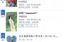 【悲報】伊藤美来ちゃんの1stアルバム、無事爆死してしまう……。 	