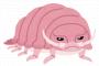【動画あり】想像してたグソクムシ「........グソクムシです.......よろしく.......」  実際見たグソクムシ「」