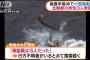 能登半島沖合で転覆した小型船を海自機が発見、北朝鮮の男性3人を救助…「乗組員は15人だった」！