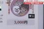 3万円のイラスト仕事を2500円で請け負う主婦　NHKが紹介し批判殺到