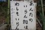 姉「これあげる」私「いらない」姉「もったいないでしょ！」私「自分で使え」姉「いらないからあげるっつってんの！」→ある日、満面の笑みで言われたセリフにブチ切れた…