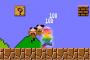 【スゲーｗ】この鳥ぜったい無敵アイテム使ってるｗｗｗ（動画あり）