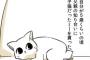 【画像】「飼い猫が死ぬ時９年振りに抱いたら驚く程軽くなってて泣いた」感動の漫画が１日で8.5万リツイート