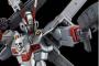 「HGUC クロスボーン・ガンダムＸ-０」クジャクやバタフライバスターがついてくるのは嬉しいね