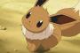 【ポケモンUSUM】イーブイバトンの対策なにがいい？