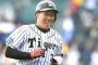 阪神・大山、５月初打点！金本監督「首の皮一枚つながったかな」 	