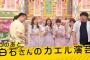 【乃木坂46】白石麻衣の魅力って美人で気さくなところなんだよな