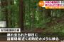 静岡看護師遺棄事件、犯人がとんでもない供述・・・（画像あり）
