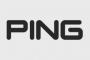 ゲームオタク「ping(ピン)」IT企業「ping(ピング)」